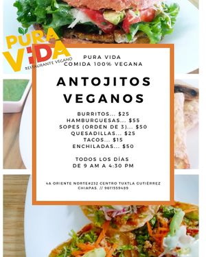 Vaya menú!! at Pura vida in Tuxtla Gutierrez