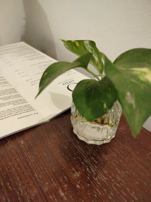 Menù at Orto in Gubbio