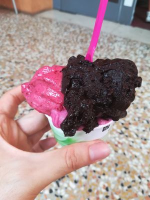 Dark Chocolate, Blackbarries and Mixed Barries vegan Ice cream. All plant (rice and soy) milk based! at Gelateria Gianni in Bologna