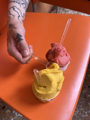 Mango, Lime, Strawberry, Raspberry   at Gelateria Gianni in Bologna
