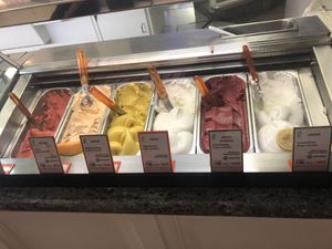 Vegan flavors   at Gelateria Gianni in Bologna