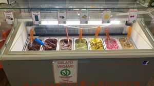7 options of vegan gelato at Gelateria Gianni in Bologna
