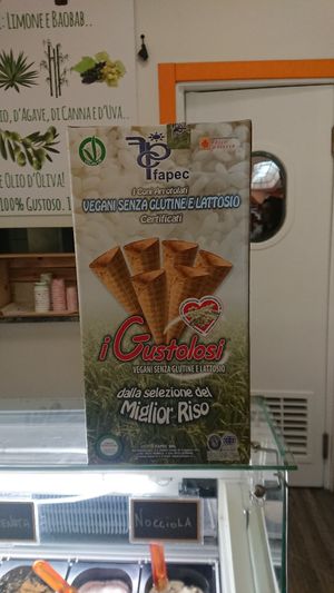 Vegan cone at Gelateria Gianni in Bologna