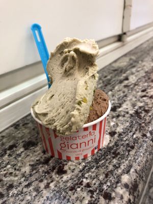 best ice cream! at Gelateria Gianni in Bologna