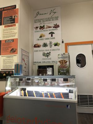 the vegan section at Gelateria Gianni in Bologna