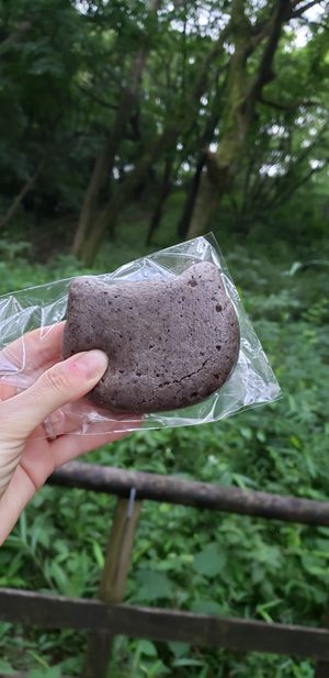 Cat shaped bread  at Coconut Dream in Kawasaki