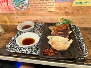 Vegan Gyoza at OKO Okonomiyaki in Osaka