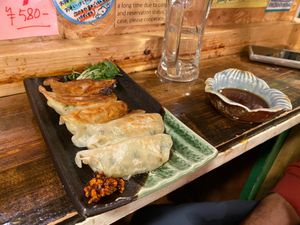 Vegan Gyoza at OKO Okonomiyaki in Osaka