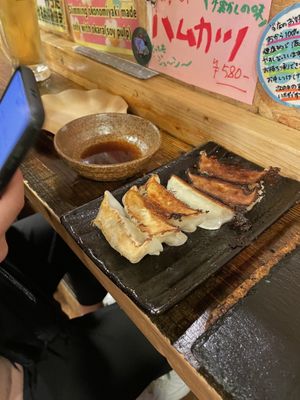 Vegan Gyoza   at OKO Okonomiyaki in Osaka