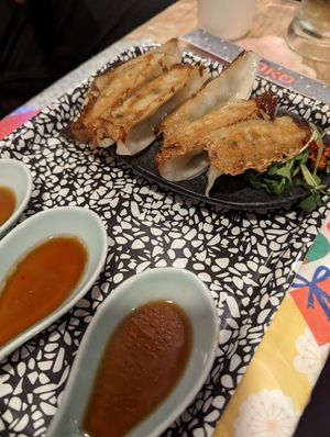 Vegan gyoza at OKO Okonomiyaki in Osaka