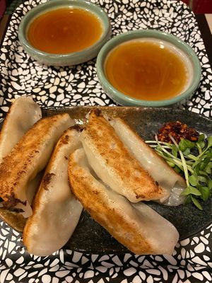 Vegan gyoza at OKO Okonomiyaki in Osaka