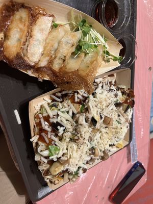 Vegan gyoza and vegan okomoyaki (vegan cheese!)  at OKO Okonomiyaki in Osaka