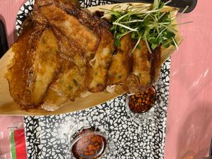 Vegan gyoza! 😍  at OKO Okonomiyaki in Osaka