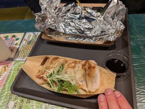 Vegan gyoza, very good at OKO Okonomiyaki in Osaka