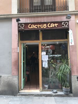 CactusCat bar at CactusCat Bar in Barcelona