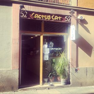 Entrada at CactusCat Bar in Barcelona