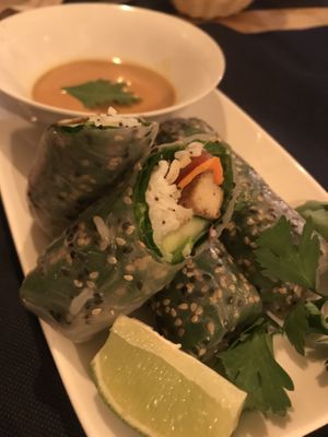 Vietnamese rolls at CactusCat Bar in Barcelona