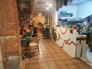 Interior at CactusCat Bar in Barcelona