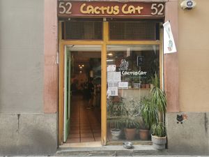 Exterior at CactusCat Bar in Barcelona