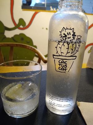 Bottle at CactusCat Bar in Barcelona