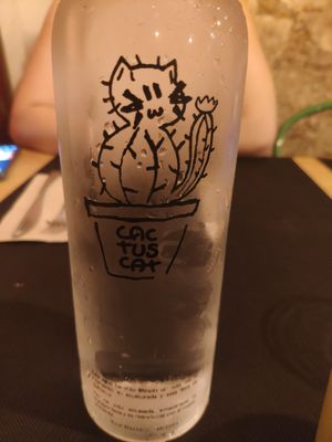 NANTE at CactusCat Bar in Barcelona