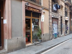 Exterior at CactusCat Bar in Barcelona