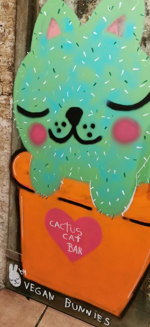  at CactusCat Bar in Barcelona