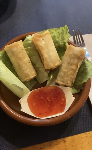   at CactusCat Bar in Barcelona