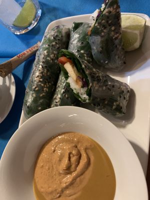 Vietnamese spring rolls  at CactusCat Bar in Barcelona