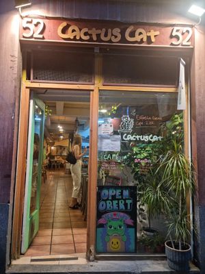  at CactusCat Bar in Barcelona