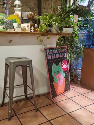  at CactusCat Bar in Barcelona