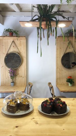 Cozy local 😍😍 at CactusCat Bar in Barcelona