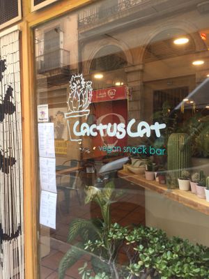 Don’t miss this cute place. at CactusCat Bar in Barcelona