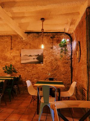 Restaurant - beautiful interior and vibe   at CactusCat Bar in Barcelona