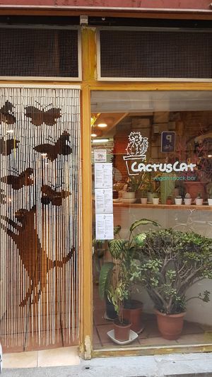 Front look at CactusCat Bar in Barcelona