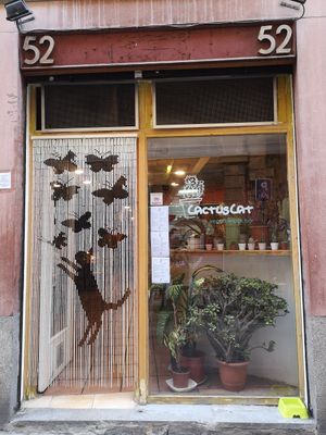 Door at CactusCat Bar in Barcelona