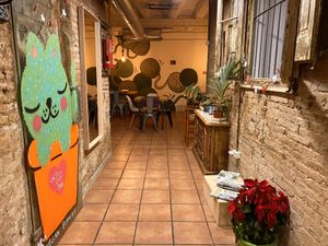 Such a cozy and playful interior.  at CactusCat Bar in Barcelona