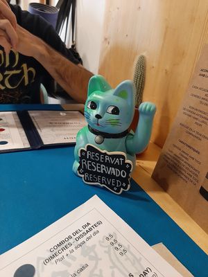 Me hipnotizó el gatete at CactusCat Bar in Barcelona