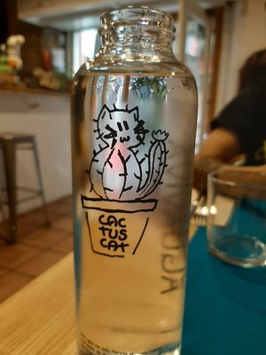 Hasta el agua era adorable at CactusCat Bar in Barcelona