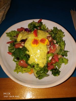 Ensalada riquísima! at CactusCat Bar in Barcelona