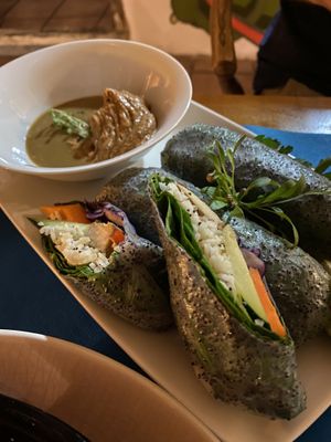 Vietnamese rolls! These won’t disappoint! at CactusCat Bar in Barcelona