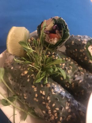 Spring rolls at CactusCat Bar in Barcelona