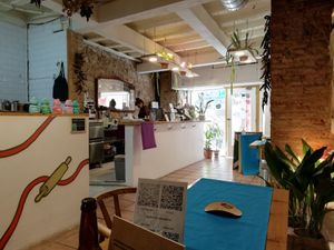 Bar at CactusCat Bar in Barcelona