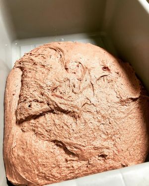 Dough for Rye and Beet Sourdough at Prasad Soul Food in Lahaina