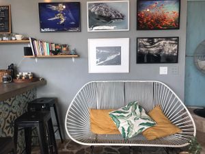 Good place at Cafe Cetaceo in San Jose Del Cabo