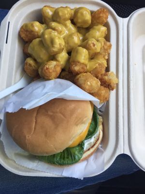 Vegan Burger and tarot toys with cheese at The Veggie Yeti in Denver