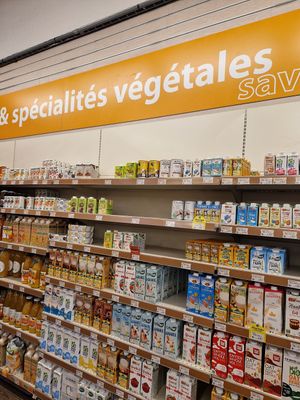 Plant milk drinks and creams at Biomonde in Saint-brevin-les-pins