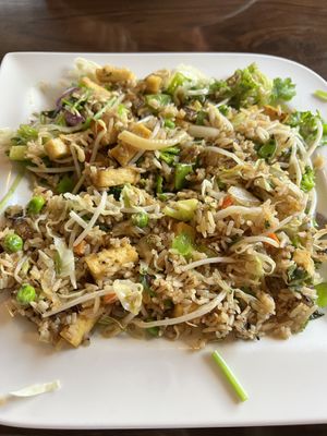 Tofu fried rice   at Viet Village in Fort Myers