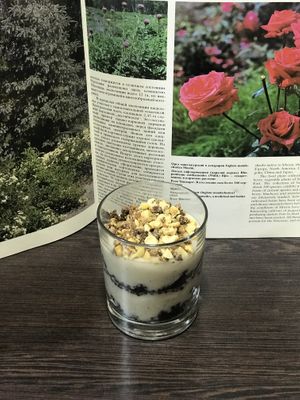 Chocolate trifle 🤤 at Vegano Hooligano - Bohdana in Kyiv