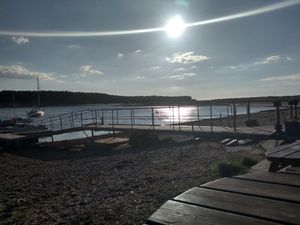 View from outdoor seating at Captain's Table in Findhorn